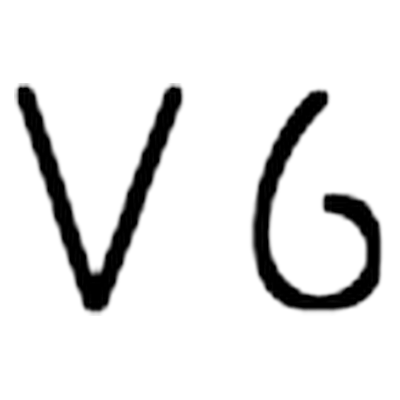 V6 Ranch brand: A V followed by a 6