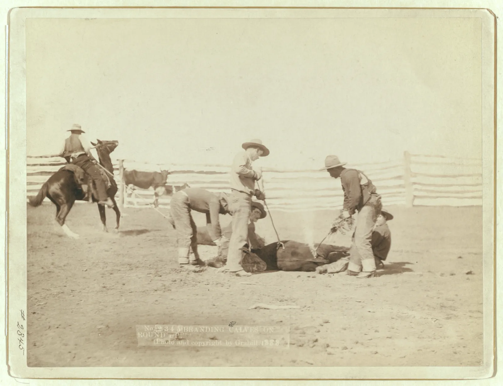 Cowboys on foot and horseback branding calves inside a crowd of cattle on open prairie.