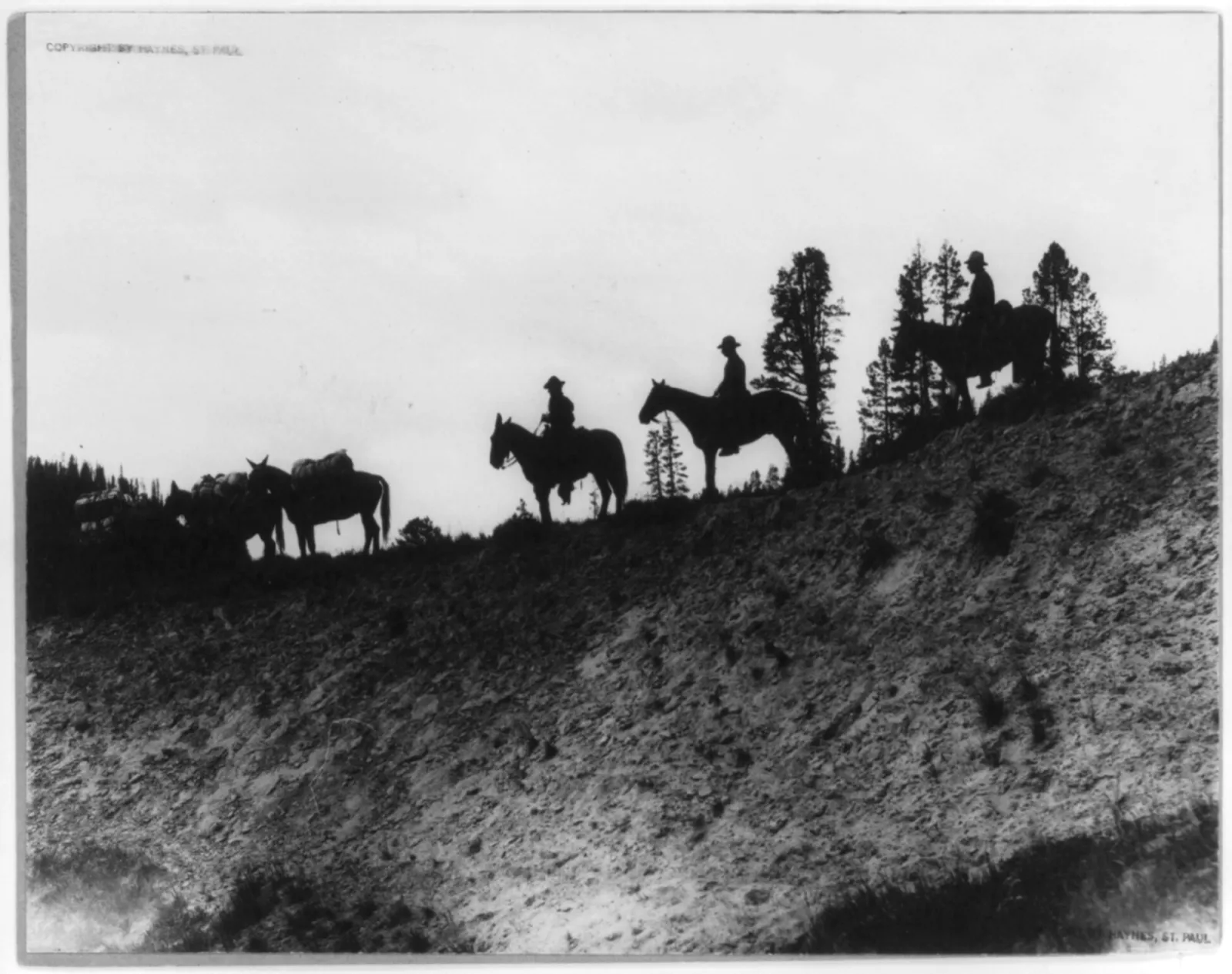 Riders and pack horses in silhouette along a steep ridge with pines.