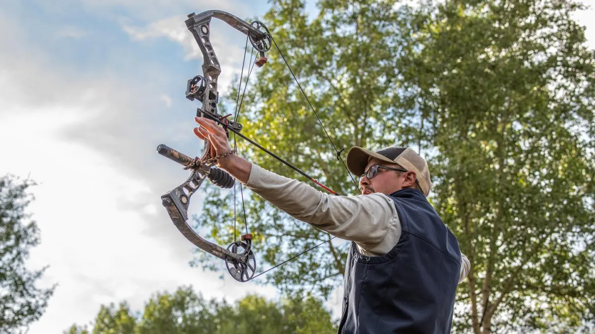 A man drawing a compound bow under cottonwood trees.