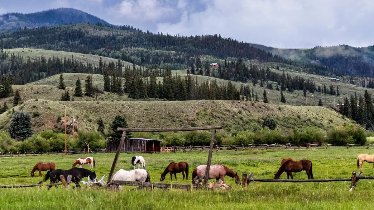 Horses grazing in a green pasture by a log hitching rail, with pine hills behind.