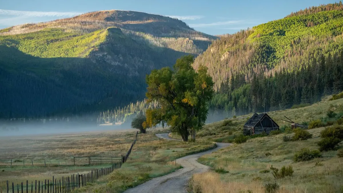 A dirt road past a big cottonwood and an old log cabin, with morning mist in the valley.