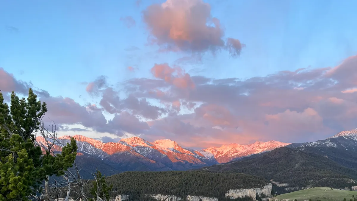 Snowy peaks lit pink at sunset under pink clouds, with a pine in front.