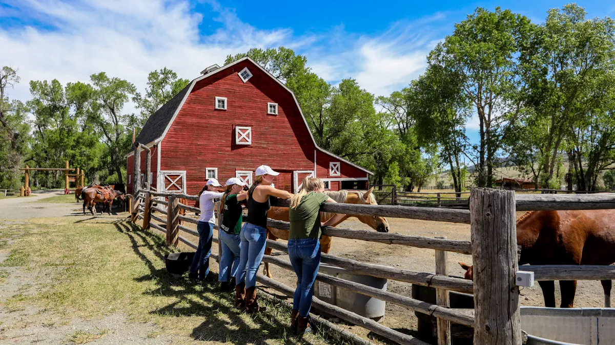 Guests leaning on a corral fence by horses in front of a red barn.