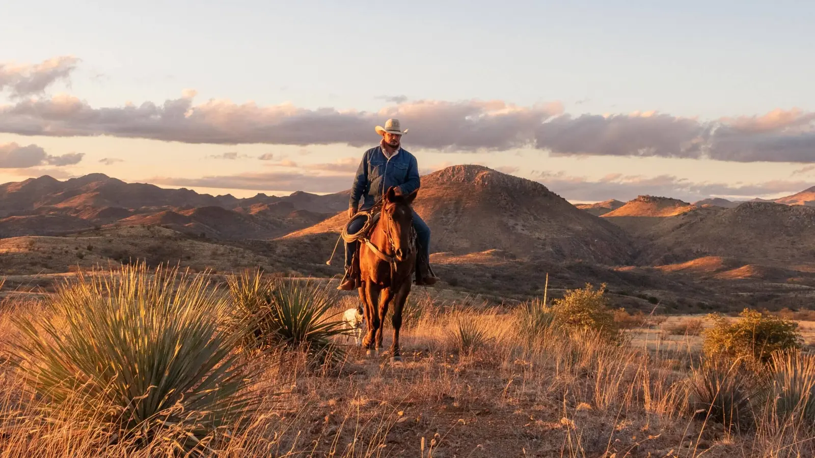 A rider on a sorrel horse crossing desert grassland at sunset below rolling hills.