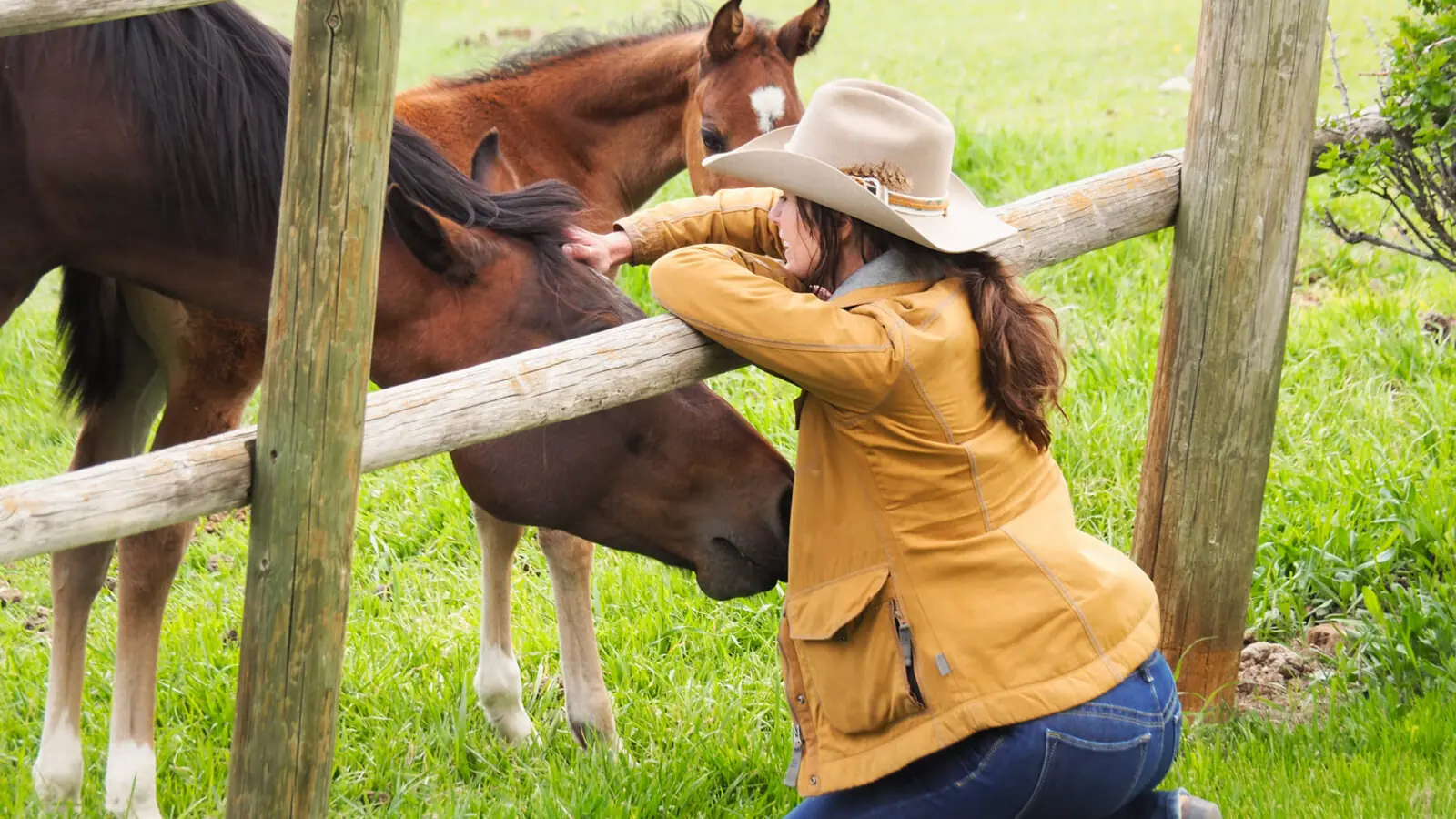 A woman in a cowboy hat leaning on a rail fence to greet two horses.