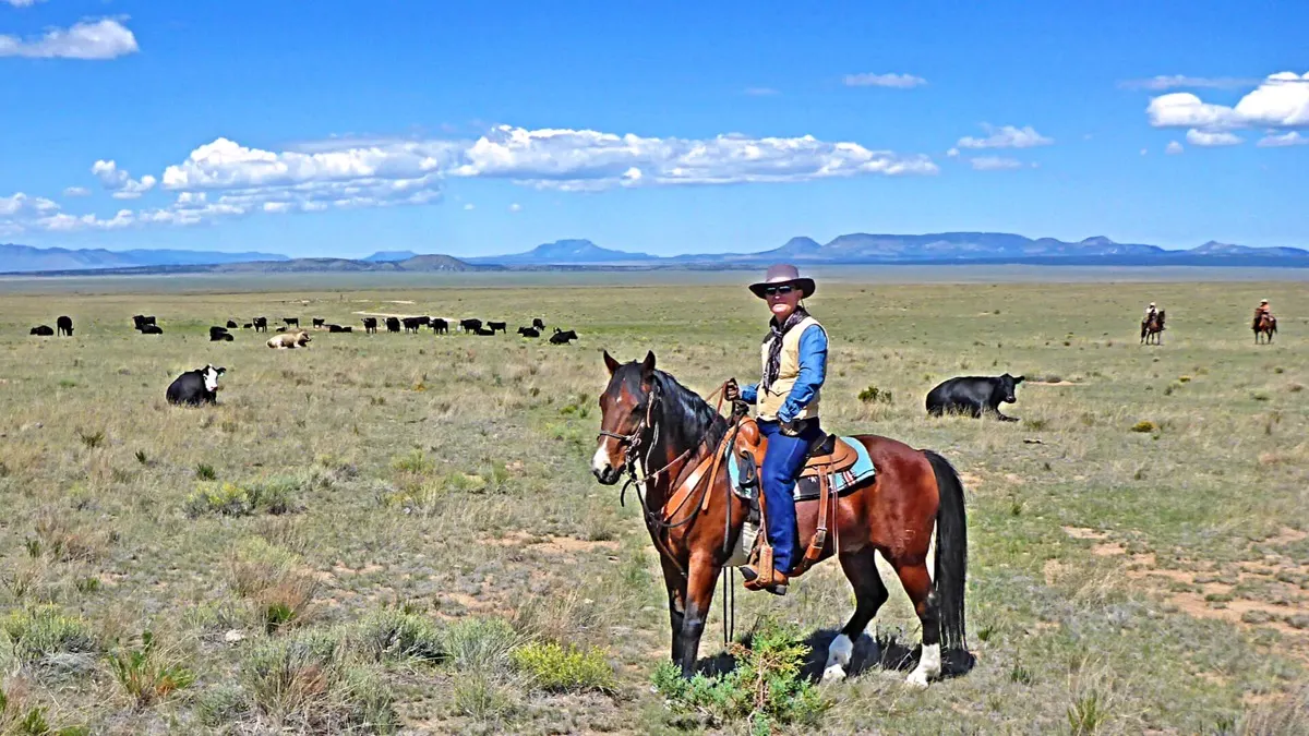 A rider on a bay horse on open grassland, with cattle scattered behind and mesas on the horizon.