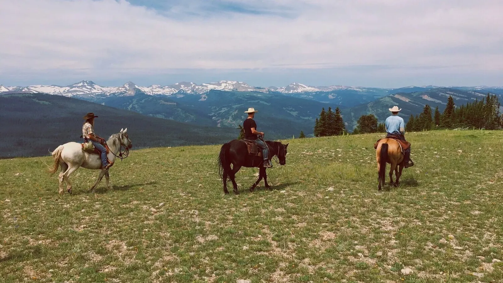Three riders on a grassy ridge with snowy mountains on the horizon.