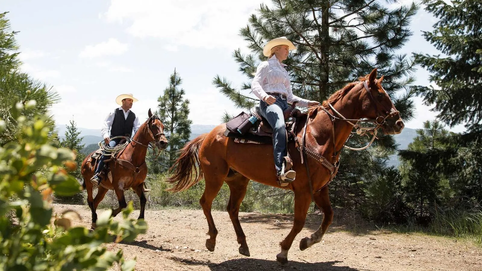 Two riders loping their horses along a dirt track among pines.