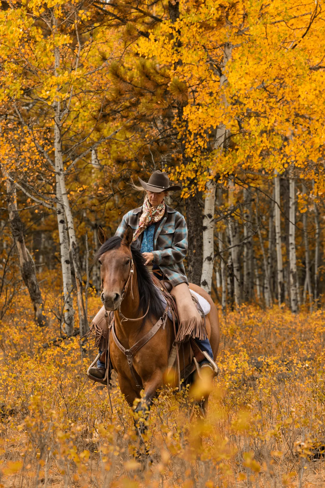 A woman in a cowboy hat and wild rag riding a bay horse through golden aspens.