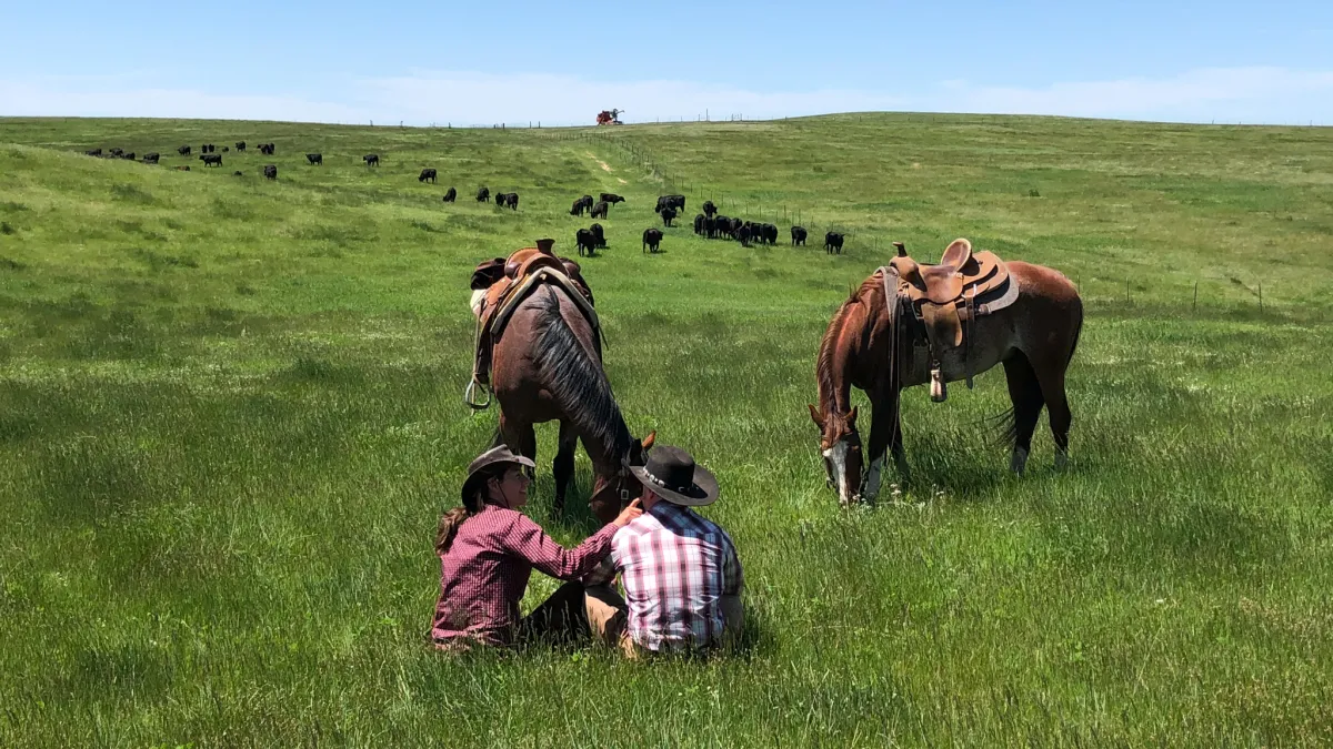Two riders sitting in tall grass beside their grazing horses, with a line of cattle on the hill behind.