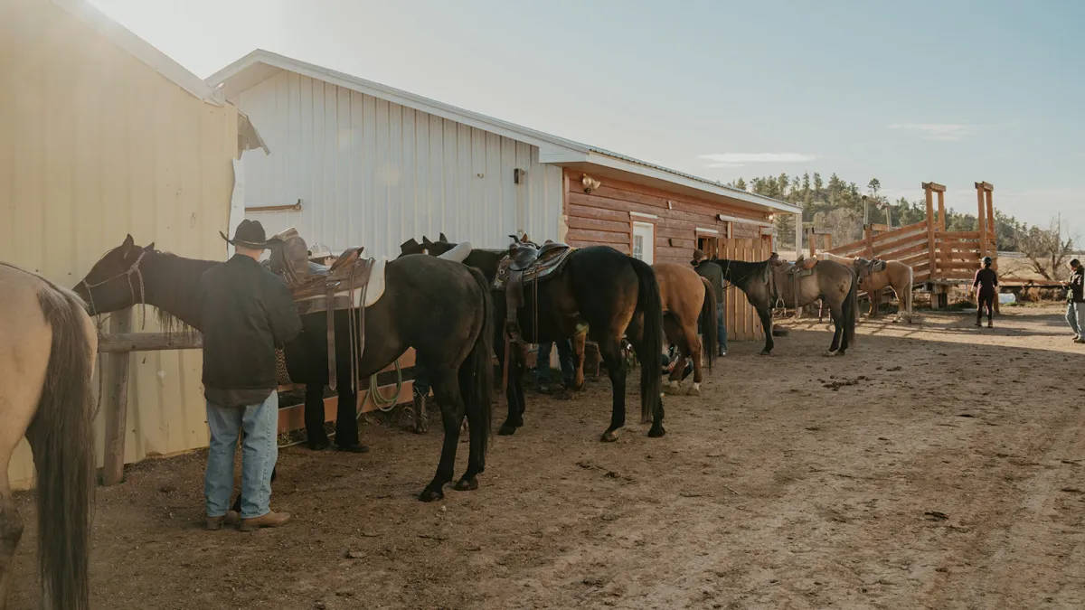 Saddled horses tied along a barn wall while riders get ready in the morning sun.