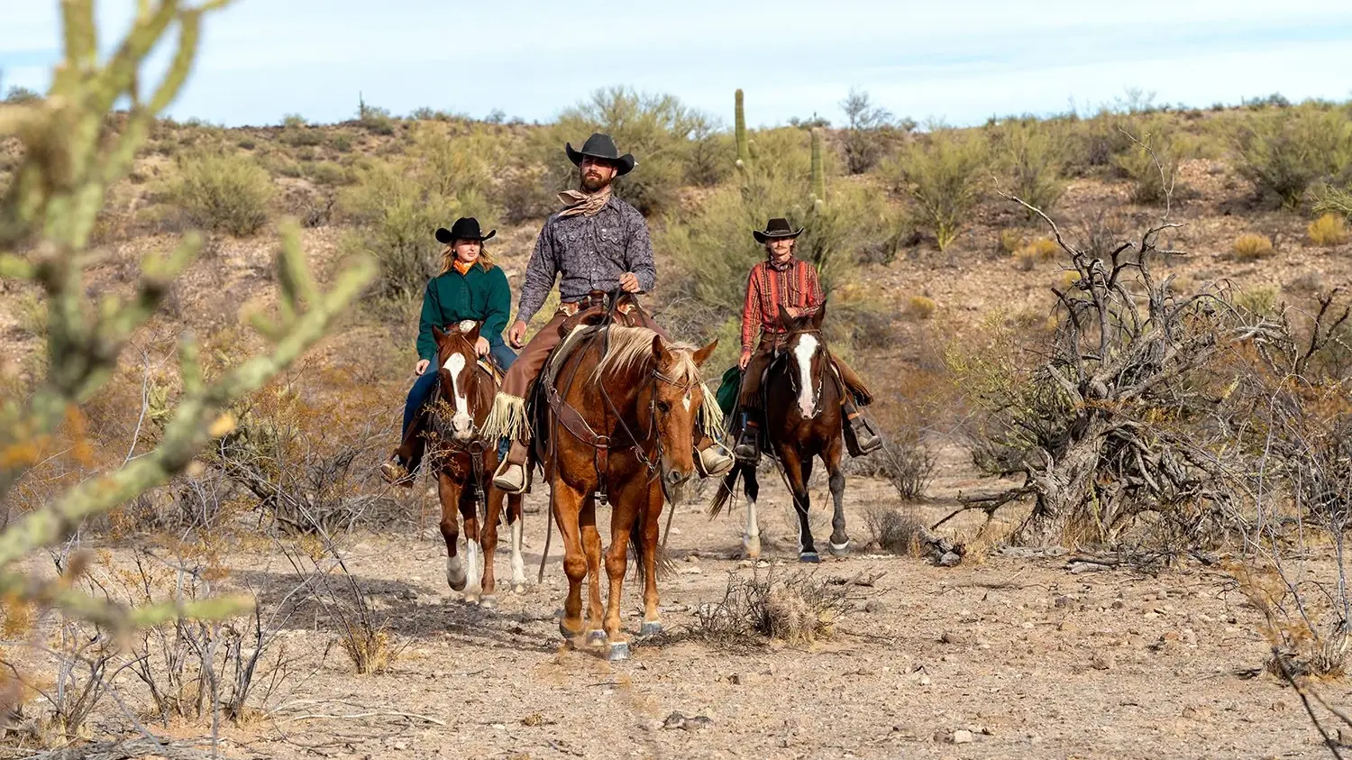Three riders on horseback coming through Sonoran Desert brush and cactus.