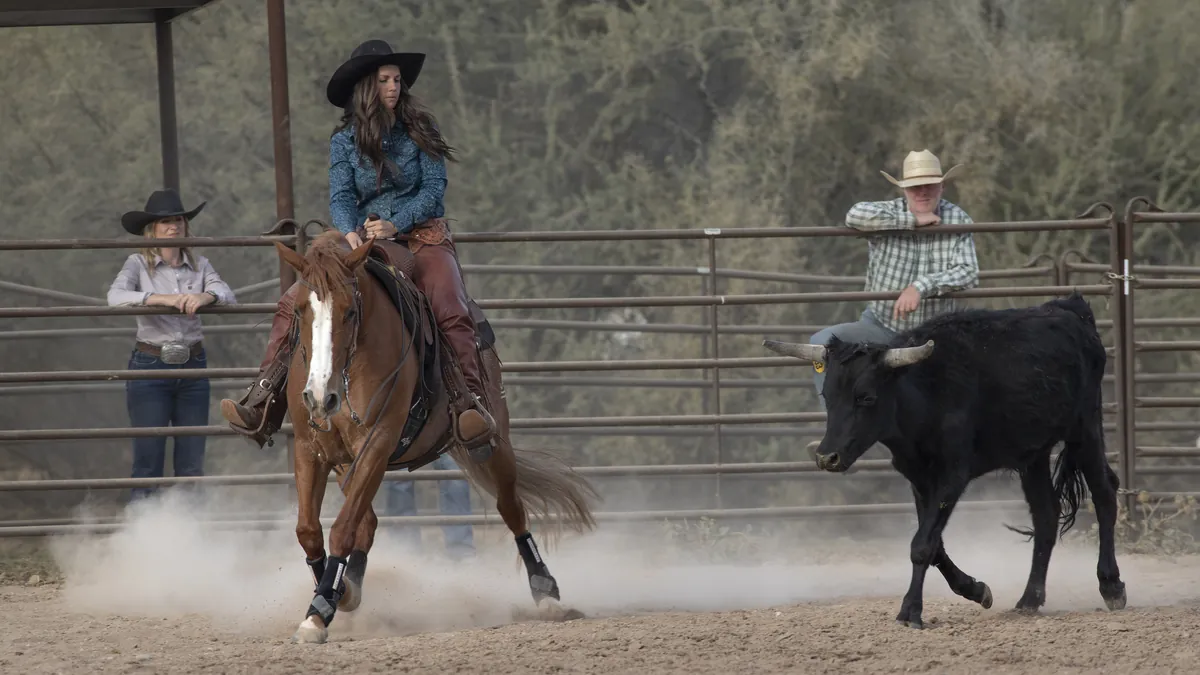 A rider on a sorrel horse turning a black steer along an arena fence.