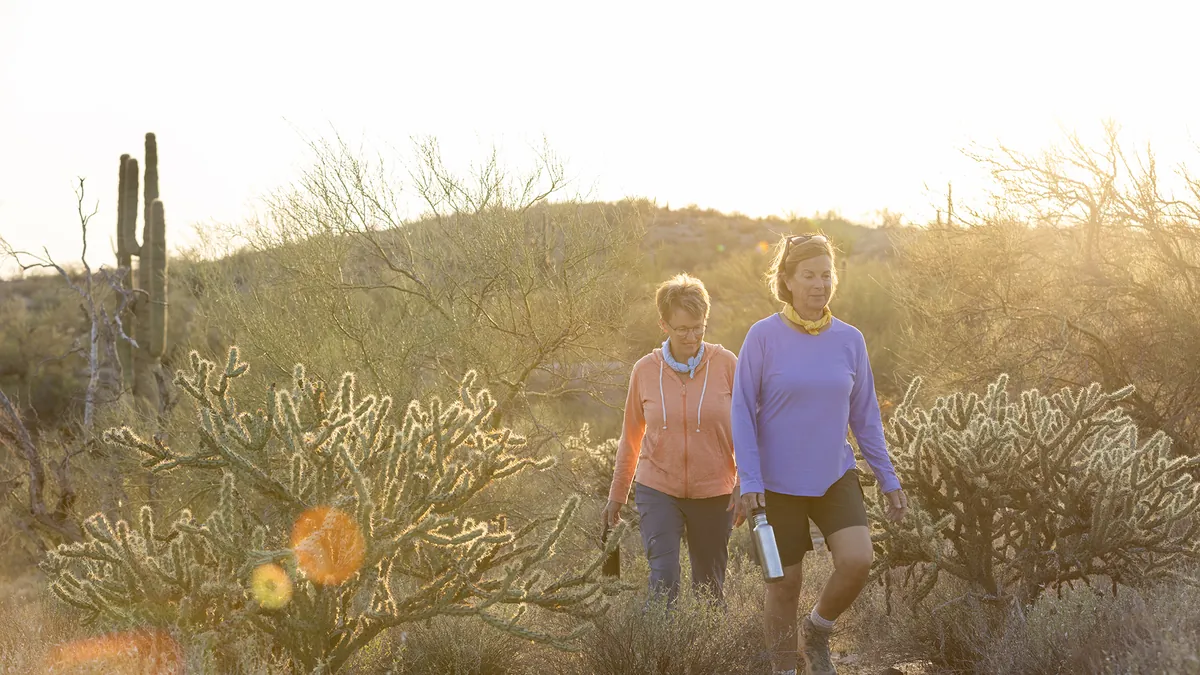 Two women hiking through cholla and saguaro in low sun.
