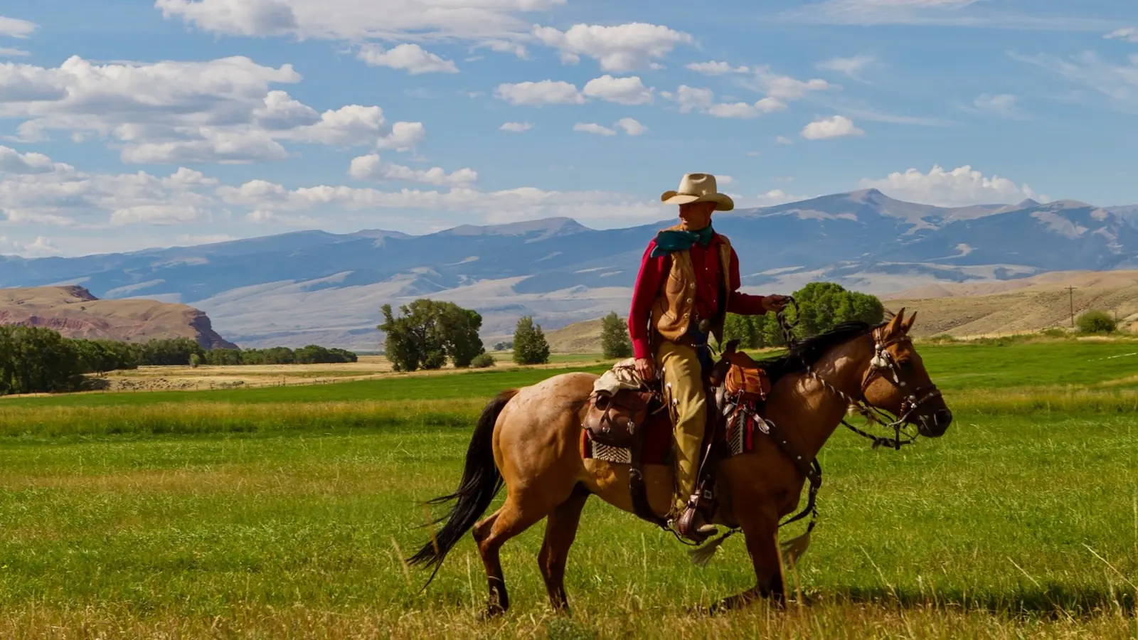 A cowboy on a buckskin horse in a green pasture below distant mountains.