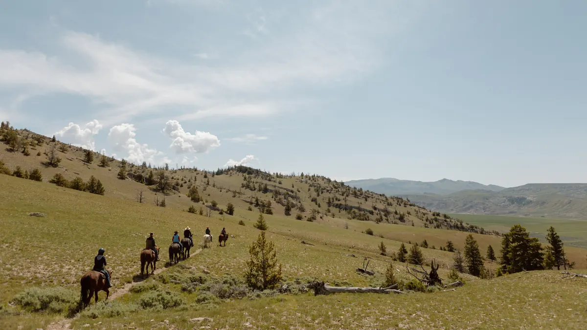 A string of riders on a grassy ridge dotted with pines, with distant mountains.