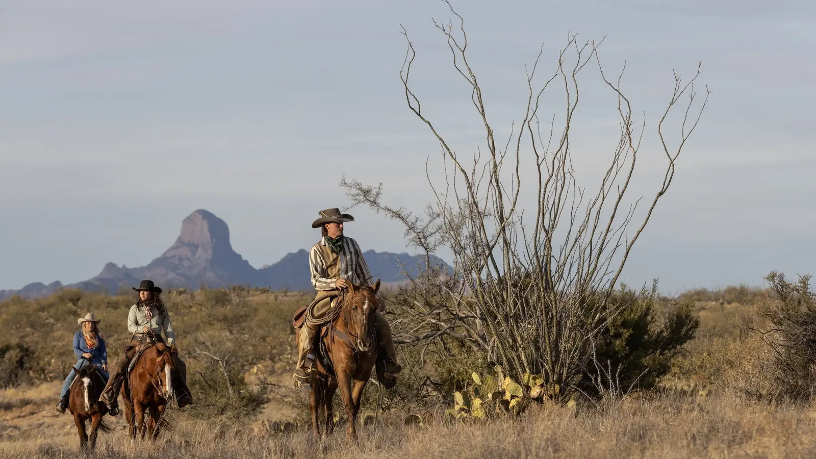Riders on horseback beside a tall ocotillo with Baboquivari Peak on the horizon.