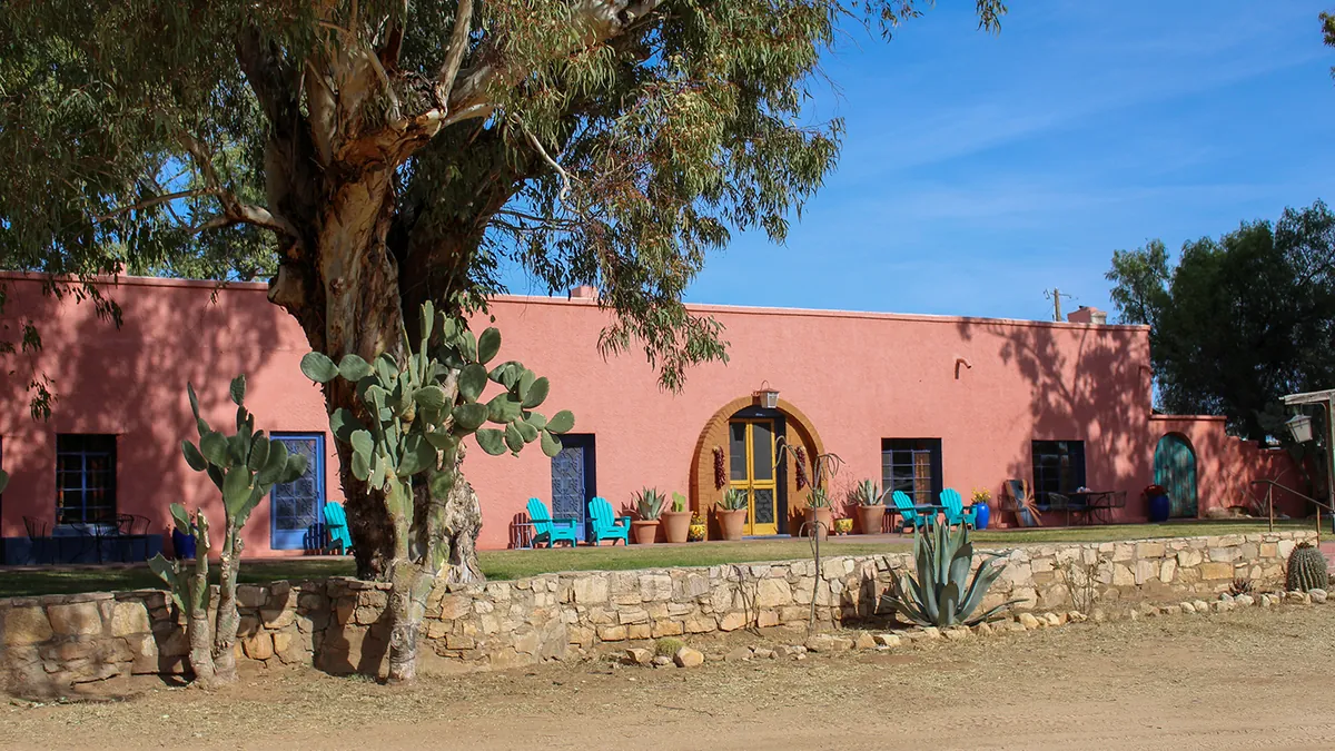 The pink adobe hacienda with an arched door, prickly pear and a big tree.