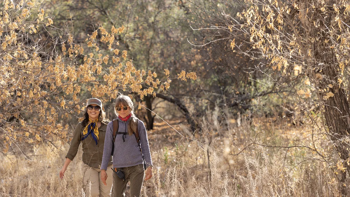 Two women hiking through dry grass under golden trees.