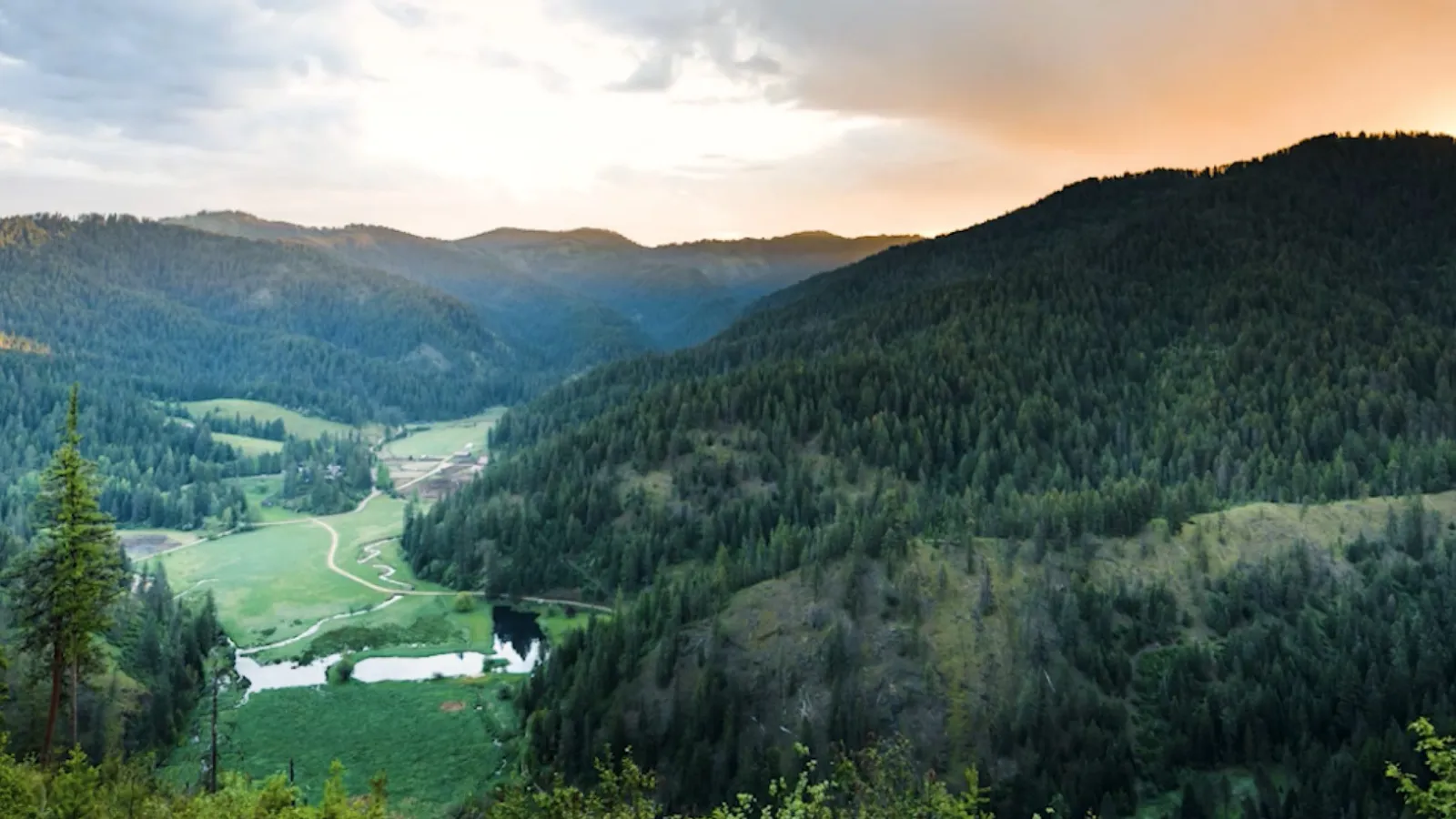 A green valley between forested mountains under an evening sky.