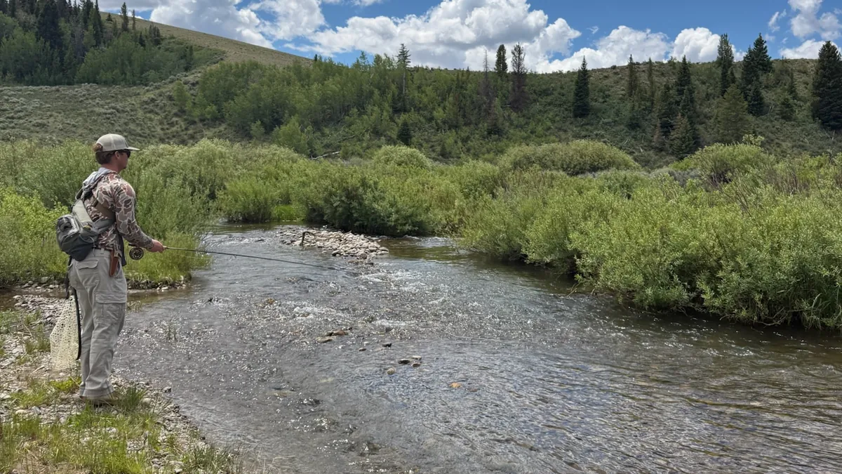 An angler casting a fly rod into a clear creek lined with willows.