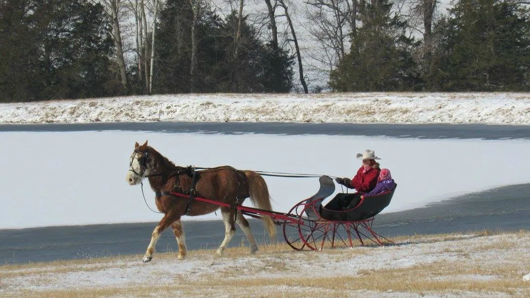 A horse pulling a red sleigh across a snowy field.