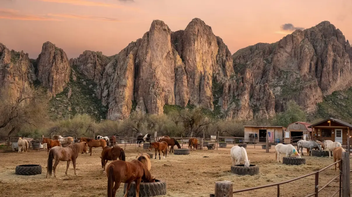 Horses in a corral below towering orange rock cliffs at sunset.