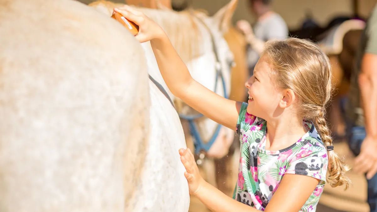 A girl with a braid brushing a white horse in the barn.