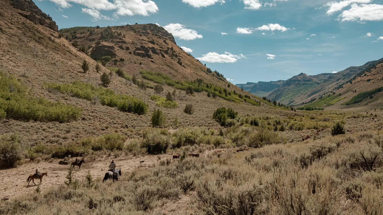Riders crossing a sagebrush valley below steep rimrock hills.
