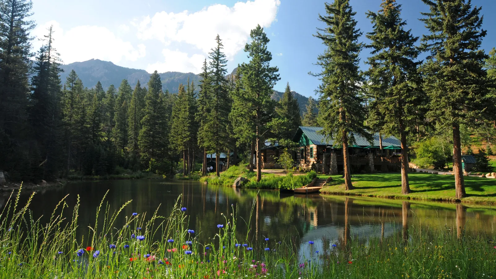 A log lodge among tall pines beside a pond edged with wildflowers.