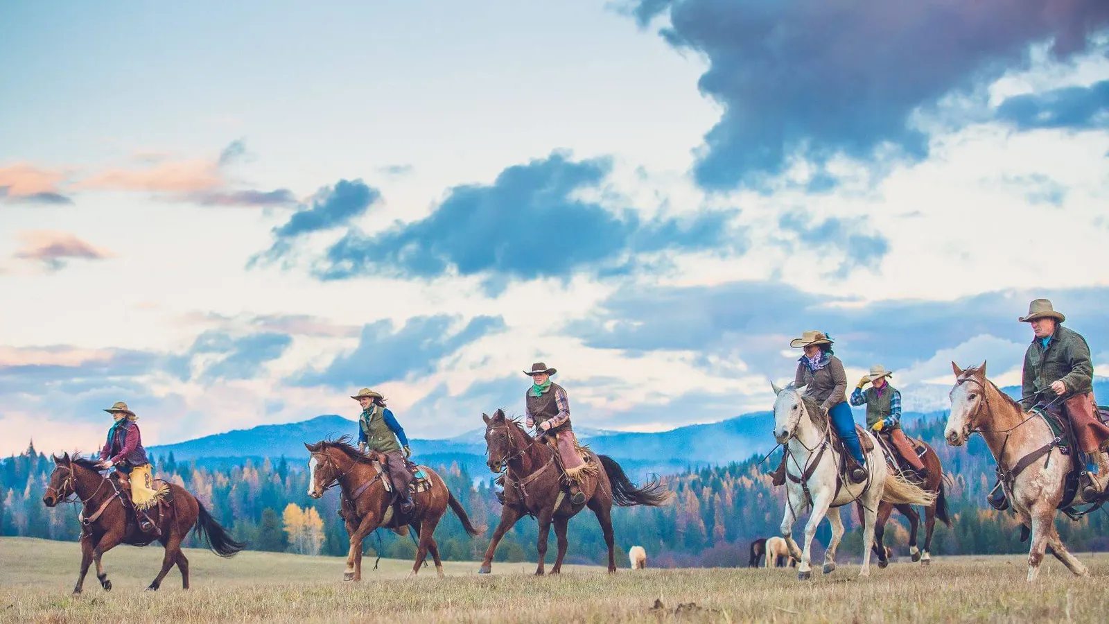 A group of riders loping across a meadow with forested hills behind.