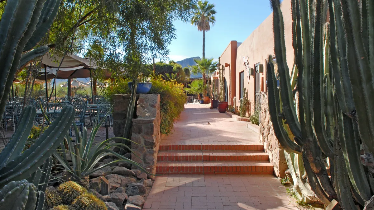 A brick walk with steps between tall cactus and adobe walls.