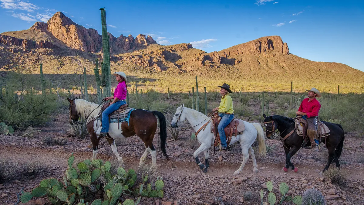 Three riders on a trail through saguaro and prickly pear below red mountains.