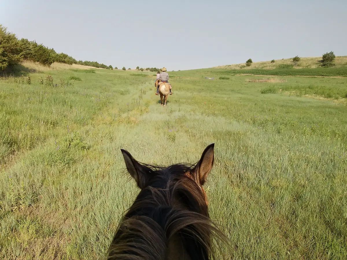 The view between a horse's ears, following a rider up a grassy Sandhills valley.